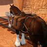 Horse World Roblox rpg game icon